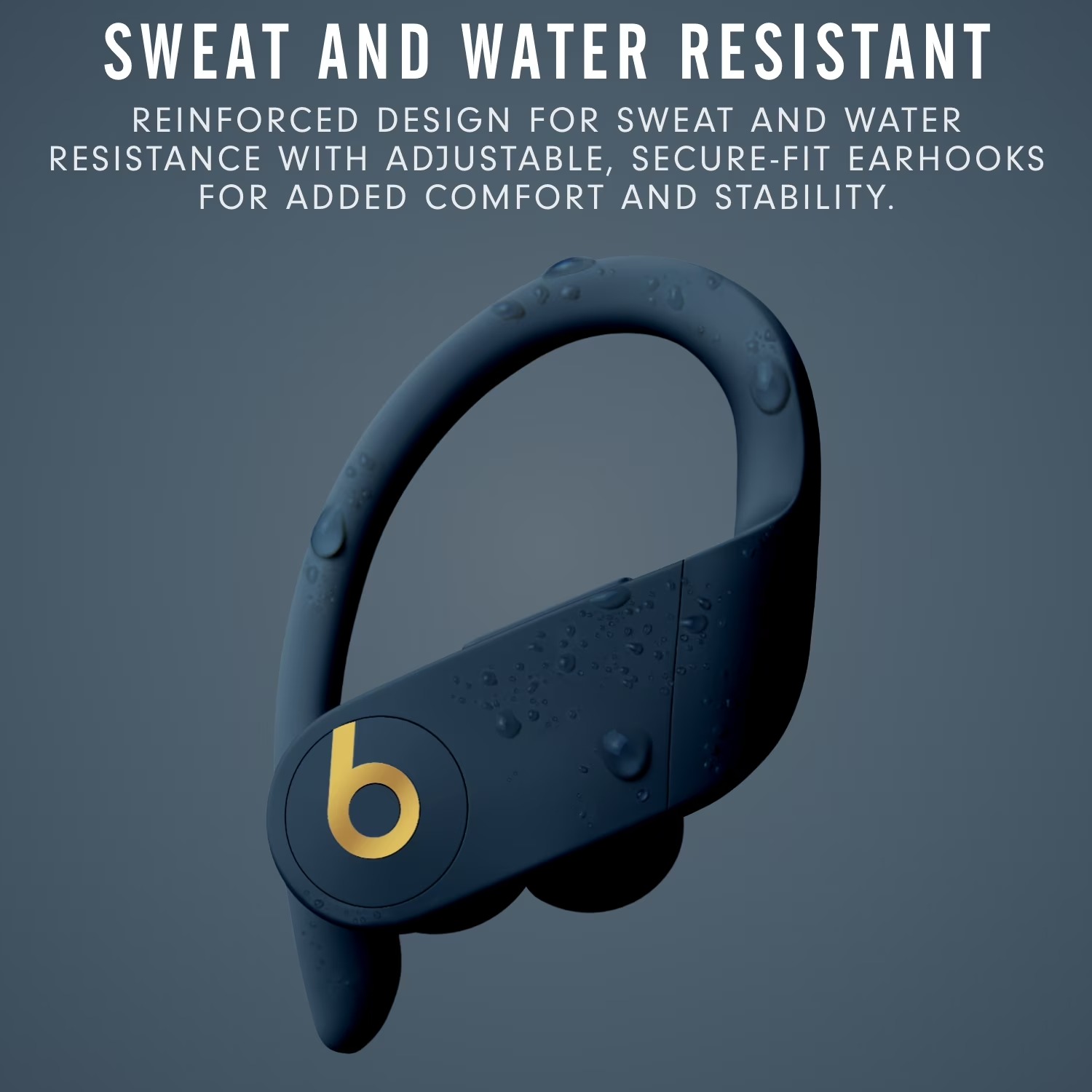 Beats Powerbeats Pro In-Ear Wi - Beats Headphone Powerbeats Pro ulasan dan harga